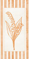 Image Not Available